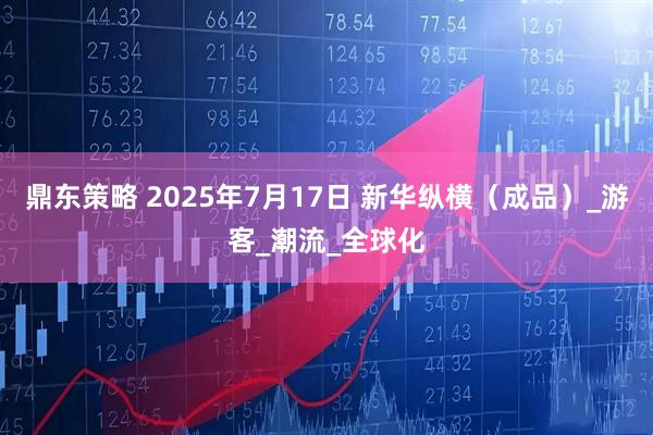 鼎东策略 2025年7月17日 新华纵横（成品）_游客_潮流_全球化