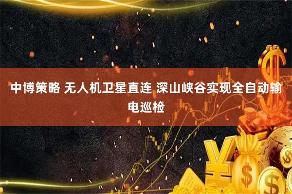 中博策略 无人机卫星直连 深山峡谷实现全自动输电巡检